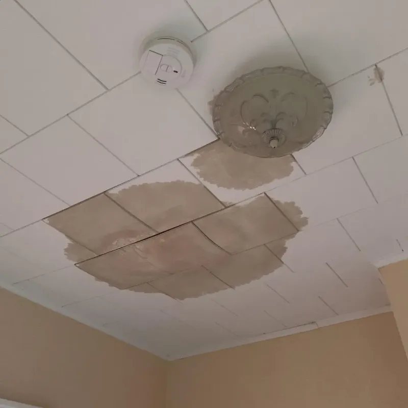 Ceiling Water Damage Repair in Goochland County, VA