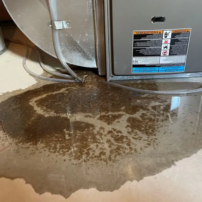 Pipe Burst and Leak Restoration in Goochland County, VA