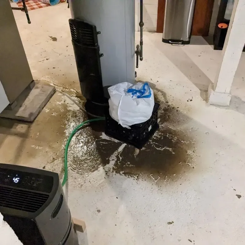 Sewage Backup Cleanup Service in Goochland County, VA